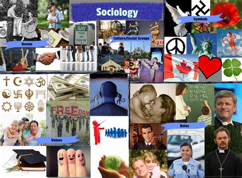 Sociological Theory Levels Of Sociological Analysis