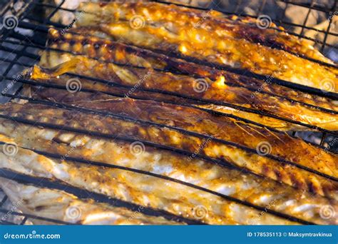 Bonfire Mackerel Fish Stock Image Image Of Crust Gourmet 178535113