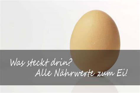 Das Ei Kalorien Protein Fettgehalt