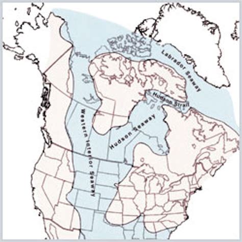 The Western Interior Seaway Covered A Large Portion Of The Central