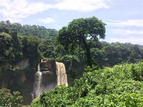 Tarzans Waterfall— Chutes Dekom Nkam In Cameroon Travel Em 2020