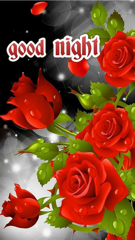 Beautiful Flower Rose Good Night 1590x2826 Download Hd Wallpaper