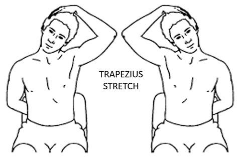 Trapezius Stretch