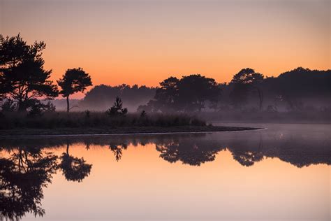 Nature Landscape Sunrise Lake Mist Trees Water Reflection