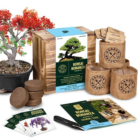 Garden Republic Bonsai Seed Starter Kit Grow 4 Mini Bonsai Trees In