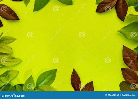 Green Spring Leaf Border Foliage On Plain Background Flat Lay With