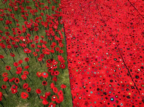 Knitted Poppies Bing Wallpaper Download