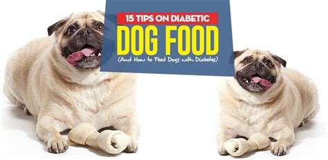 The best dog food for diabetes is a low glycemic dog food rich in protein with moderate fat content. 15 Tips on Diabetic Dog Food and How to Feed Dogs with ...