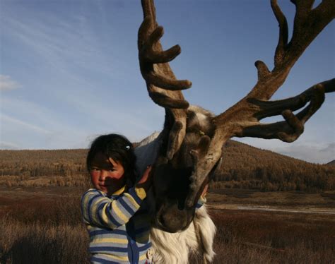 The Tsaatan Dukha Are A Small Culture Of Reindeer Herders Living In