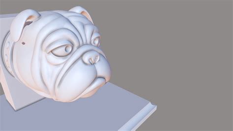 Dog Head 3d Model By Mikle Cgamit786 98b1c2c Sketchfab