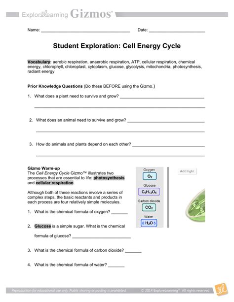 Cell division worksheets animal cell cycle best biologie from the cell cycle worksheet answer key , source: Gizmo Balancing Chemical Equations Activity B - Tessshebaylo