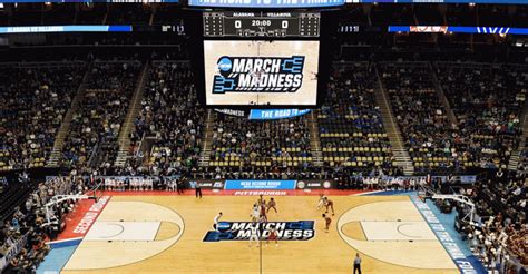 Ncaa Tournament Clarity Stripe