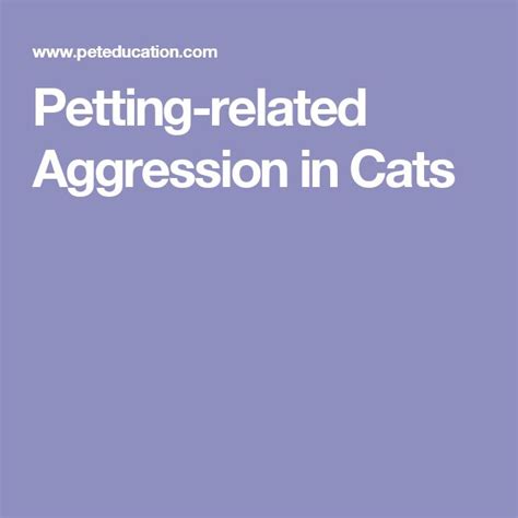 Petting Related Aggression In Cats Pets Cats Cat Health