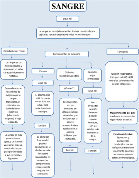 Mapas Conceptuales De La Sangre Descargar 101885 The Best Porn Website