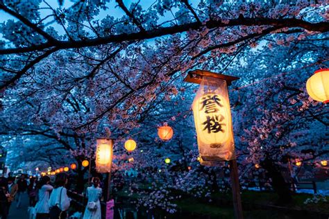 Where To Spend Your Cherry Blossom Festival Expats Holidays