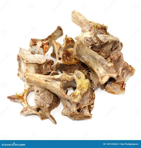 Animal Vertebrae Bones Isolated On White Background Leftover Food