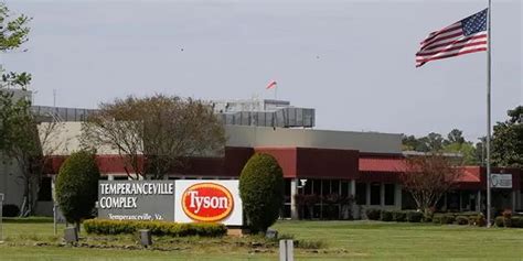 Efeedlink Tyson Foods Workers Strike At Arkansas State Chicken Plant