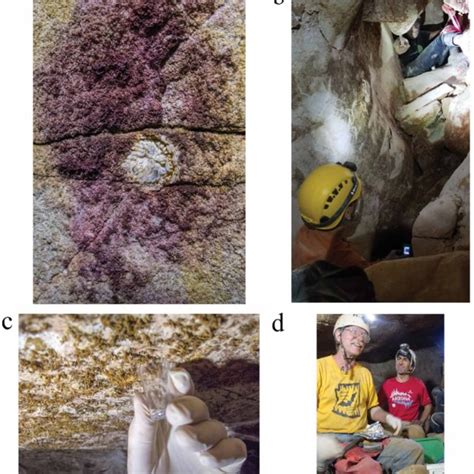 Pdf Microbiome Of Grand Canyon Caverns A Dry Sulfuric Karst Cave In