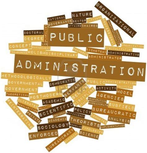Public Administration Premium Times Opinion