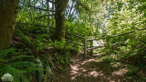 Central Peak Trail In Squak Mountain State Park Length 46 Miles