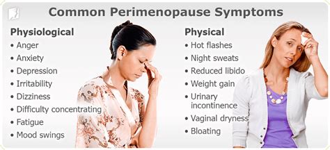 Perimenopause The Lead Up To The Real Thing Welia Health