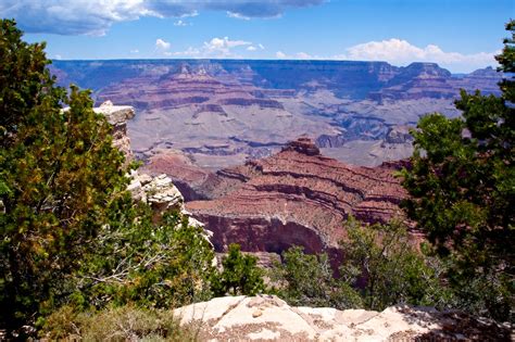 Grand Canyon Between Trees Free Stock Photo Public Domain Pictures