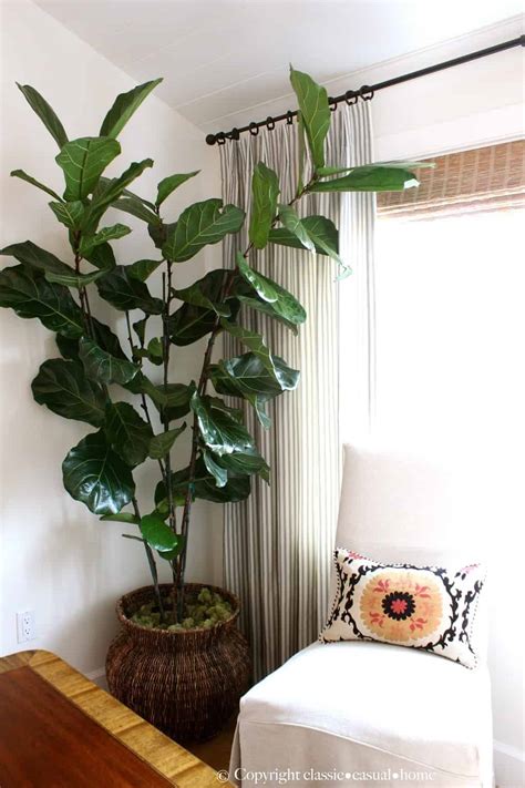 Quality home decor products shop home decor and find the best online deals on everything for your home and your family. Six Easy Care Indoor Plant Ideas - Classic Casual Home