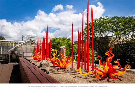 Chihuly Celebrating Nature And Chihuly Nights Franklin Park