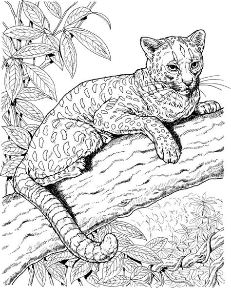 jaguar coloring pages  downloadable educative printable cat coloring page animal
