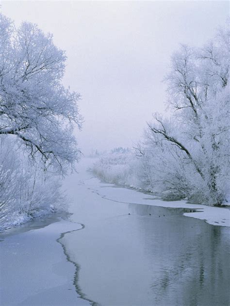 Frozen River Wallpaper