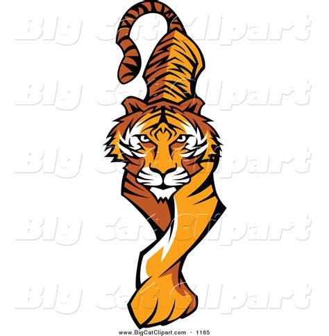 Vector Clipart Of A Prowling Tiger By Chromaco 1165