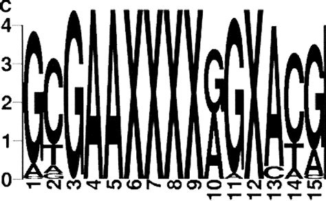 Surveying Saccharomyces Genomes To Identify Functional Elements By