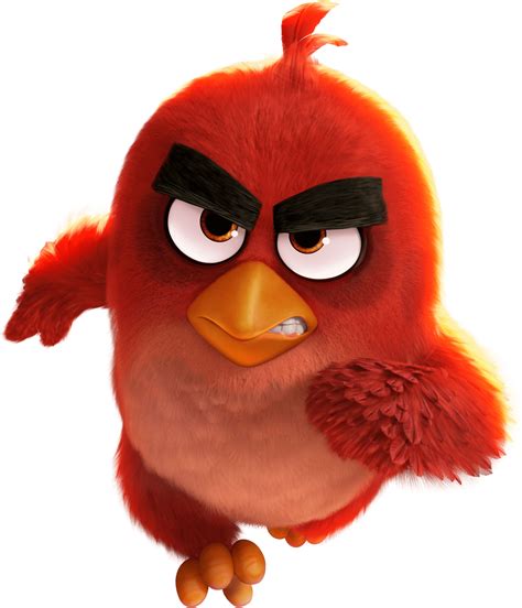 Angry Birds Red Png Hd Png Pictures Vhv Rs