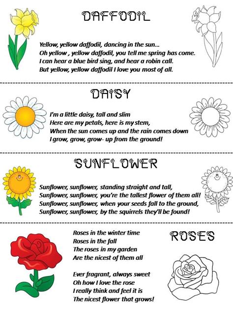 35 Fresh Flower Poems For Kids