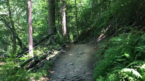 Maybe you would like to learn more about one of these? Cabin John Trail Virtual Walk - YouTube
