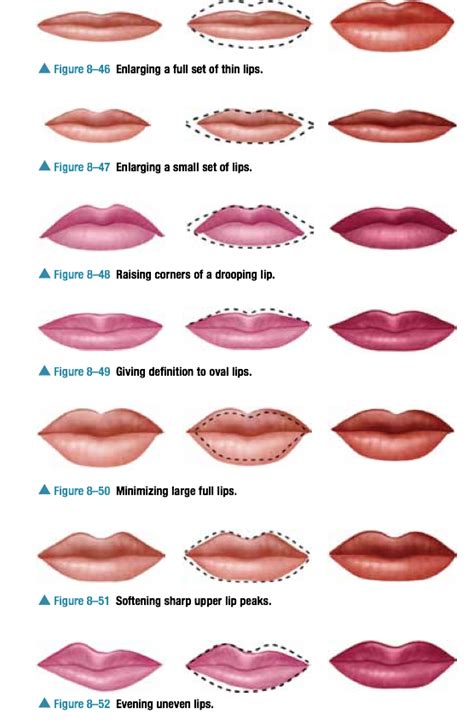 Types Of Lip Shapes What The Shape Of Your Lips Says About You We