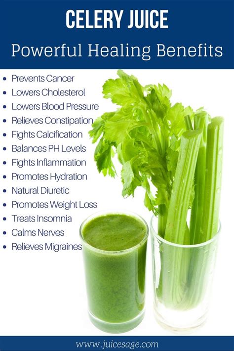 Do you abstain yourself from your favourite foods just because you have diabetes? Celery juice Improves Health. Raw celery juice is rich in ...