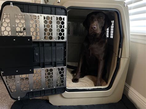 Large Dog Kennel Gunner®