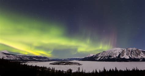 Aurora Borealis Over Bove Island Windy Arm Carcross Yukon Canada