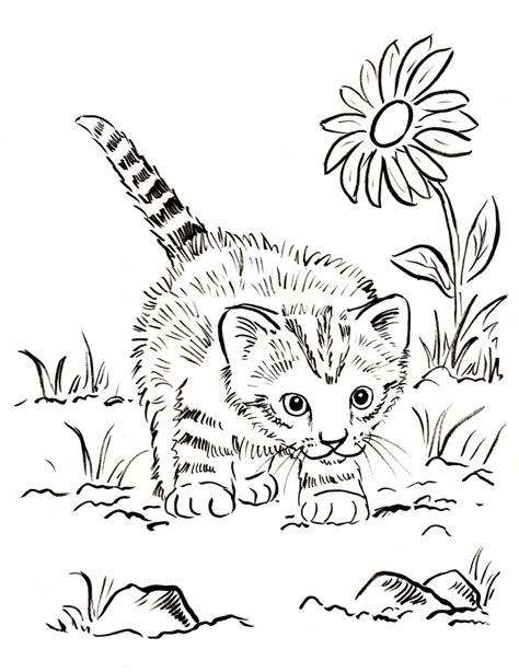 There are more than 30 cute kitten coloring pages that you can print for you or your children. Kitten Coloring Pages - Best Coloring Pages For Kids