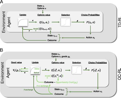 Contrasting Temporal Difference And Opportunity Cost Reinforcement