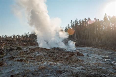 Hot Springs And Gushing Geysers At Yellowstone National Park Wilderness