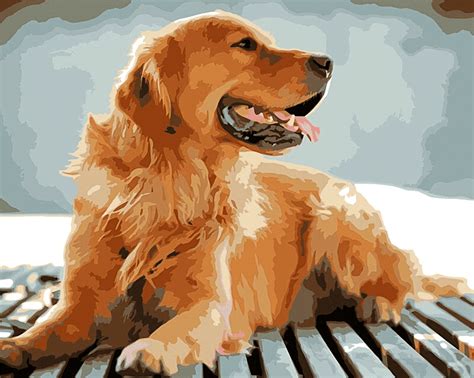 Golden Retriever Paint By Numbers Just Paint By Number