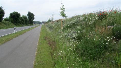 Nds Landesbeh Rde F R Stra Enbau Und Verkehr Nlstbv