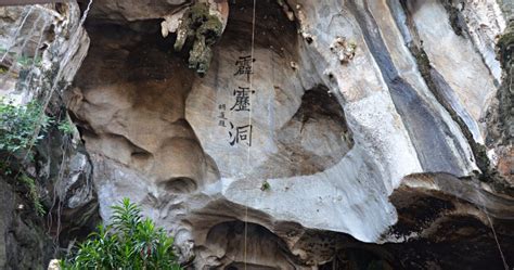 Willow trees gracefully lined the driveway. Perak Cave Temple's beauty - Part II: The Cave | Ipoh Secrets