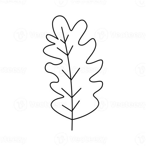 Free Leaf Outline Hand Drawn 19016684 Png With Transparent Background
