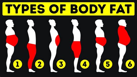 6 Types Of Body Fat And Tips How To Get Rid Of It Youtube