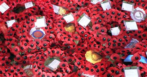 The History Of The Red Poppy As A Symbol Of Remembrance