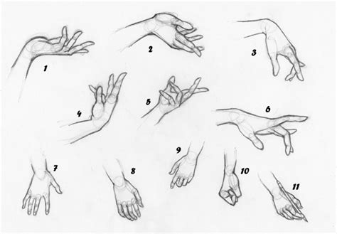 Hands Study By Meladimiele On Deviantart
