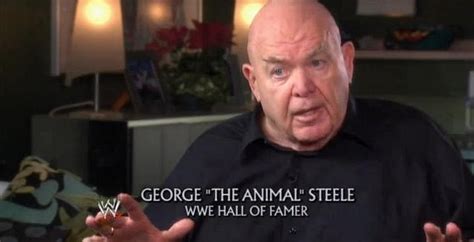 Faleceu Wwe Hall Of Famer George The Animal Steele Noticias De